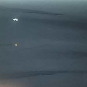 Classic Navy Blue Polo Shirt with Logo